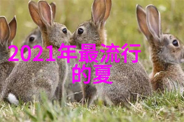 老欧硬欧软欧面包的区别是什么
